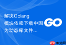 解决golang模块依赖下载中因为动态库文件未找到导致的路径报错