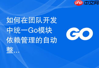 如何在团队开发中统一go模块依赖管理的自动整理格式