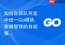 如何在团队开发中统一go模块依赖管理的自动整理格式