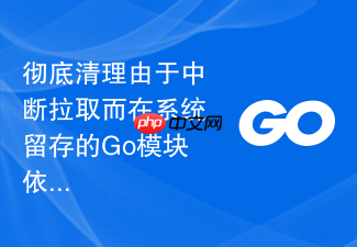 彻底清理由于中断拉取而在系统留存的go模块依赖下载临时目录