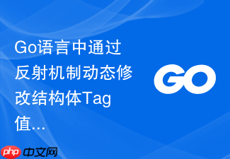 go语言中通过反射机制动态修改结构体tag值的可行性分析