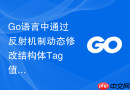 Go语言中通过反射机制动态修改结构体Tag值的可行性分析