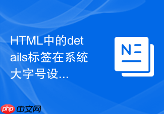 html中的details标签在系统大字号设置下的兼容处理