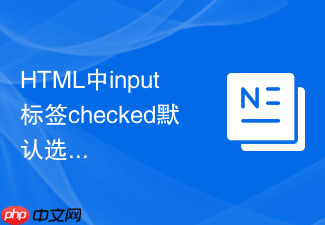 html中input标签checked默认选中的设置方法