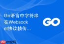 go语言中字符串在websocket协议帧传输中的编解码与封装