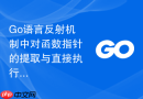 Go语言反射机制中对函数指针的提取与直接执行