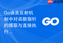 go语言反射机制中对函数指针的提取与直接执行