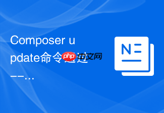 composer update命令通过 --lock 参数在不更新代码下强制刷新哈希