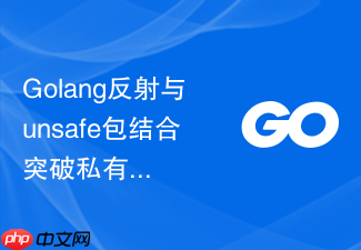 golang反射与unsafe包结合突破私有字段限制的尝试