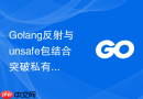 golang反射与unsafe包结合突破私有字段限制的尝试