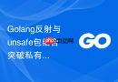 Golang反射与unsafe包结合突破私有字段限制的尝试