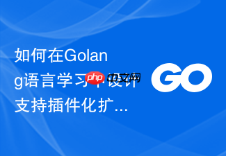 如何在golang语言学习中设计支持插件化扩展的系统架构