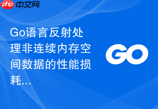 go语言反射处理非连续内存空间数据的性能损耗分析