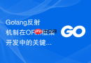 Golang反射机制在ORM框架开发中的关键作用与实现
