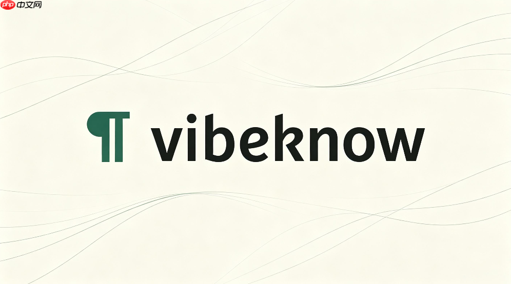 vibeknow如何充值积分?额度购买与充值流程