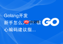 golang开发新手怎么入门?核心编码建议指南