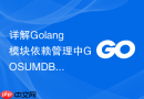 详解Golang模块依赖管理中GOSUMDB的安全哈希校验算法