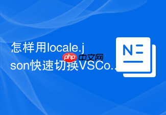 怎样用locale.json快速切换vscode的区域设置