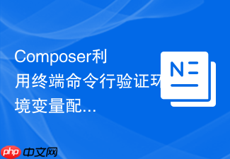 composer利用终端命令行验证环境变量配置的教程