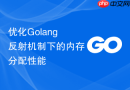 优化Golang反射机制下的内存分配性能
