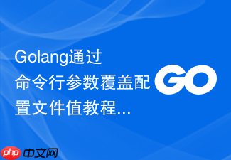 golang通过命令行参数覆盖配置文件值教程