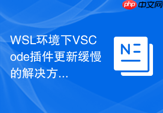 wsl环境下vscode插件更新缓慢的解决方法