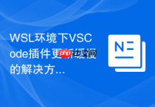 WSL环境下VSCode插件更新缓慢的解决方法