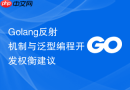 golang反射机制与泛型编程开发权衡建议