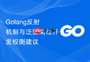 Golang反射机制与泛型编程开发权衡建议