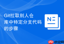 Git拉取别人仓库中特定分支代码的步骤