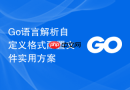 go语言解析自定义格式配置文件实用方案
