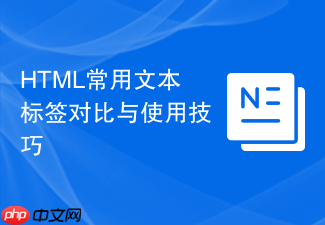 html常用文本标签对比与使用技巧