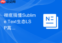 彻底搞懂Sublime Text生态LSP高级配置技巧