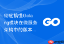 彻底搞懂Golang模块在微服务架构中的版本协调与动态热替换机制