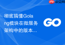彻底搞懂golang模块在微服务架构中的版本协调与动态热替换机制