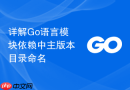 详解Go语言模块依赖中主版本目录命名