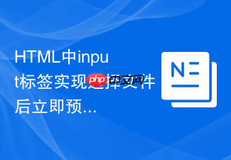 html中input标签实现选择文件后立即预览的技巧