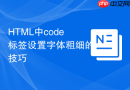 html中code标签设置字体粗细的技巧