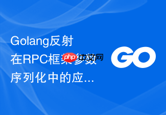 golang反射在rpc框架参数序列化中的应用与优化