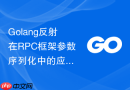 Golang反射在RPC框架参数序列化中的应用与优化