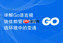 详解Go语言模块依赖管理在离线环境中的变通
