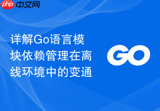 详解go语言模块依赖管理在离线环境中的变通
