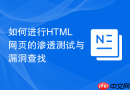 如何进行HTML网页的渗透测试与漏洞查找