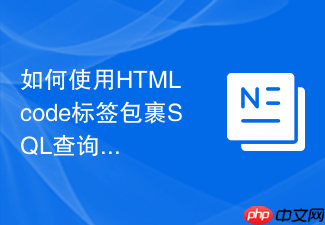 如何使用html code标签包裹sql查询语句