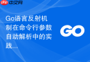 Go语言反射机制在命令行参数自动解析中的实践