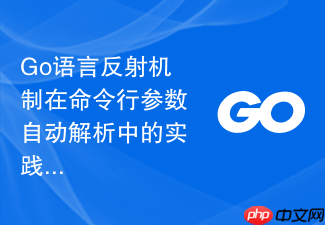 go语言反射机制在命令行参数自动解析中的实践