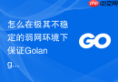怎么在极其不稳定的弱网环境下保证Golang模块通信通道的数据高度完整