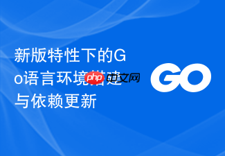 新版特性下的go语言环境搭建与依赖更新