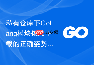 私有仓库下golang模块依赖下载的正确姿势