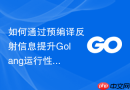 如何通过预编译反射信息提升golang运行性能